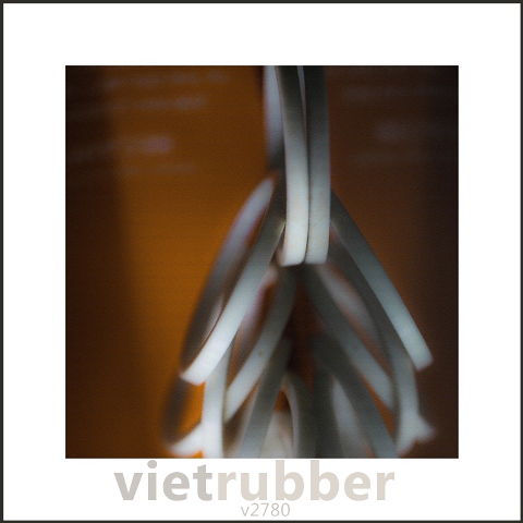 Gioăng phớt cao su | Viet rubber 'products